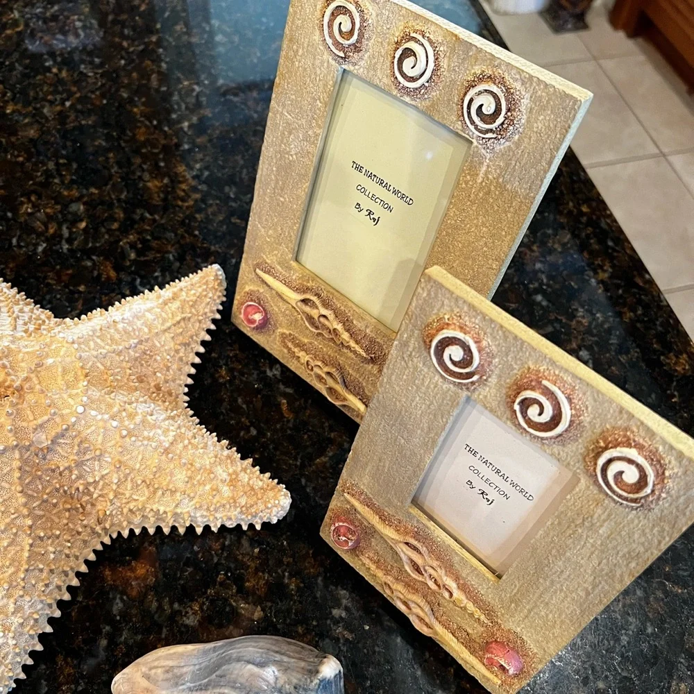 NEW Dimensional Seashell Picture Frames-Set of 2 by Raj